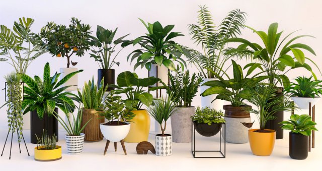 plants 3D Model .c4d .max .obj .3ds .fbx .stl .blend 