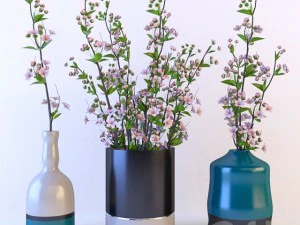 cherry tree 3D Model