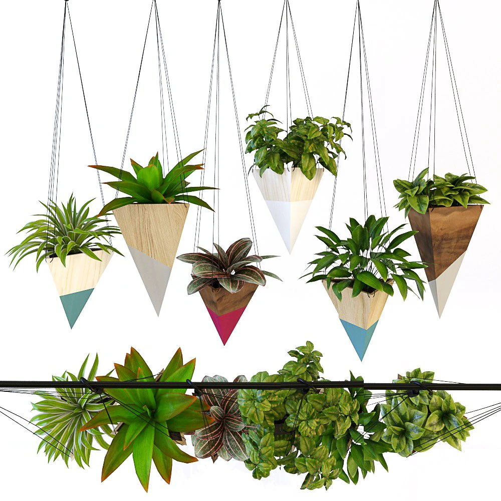 hanging plant 3D Model .c4d .max .obj .3ds .fbx .stl .blend 