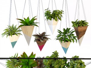 hanging plant 3D 모델