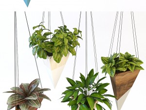 hanging plant 3D Modell