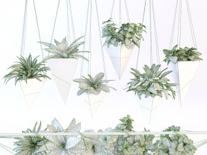 hanging plant 3D Modell