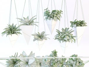 hanging plant 3D Model