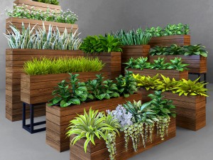 herb 3D 모델
