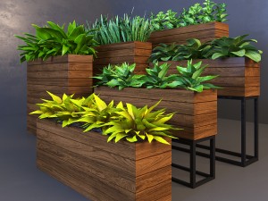 herb 3D मॉडल