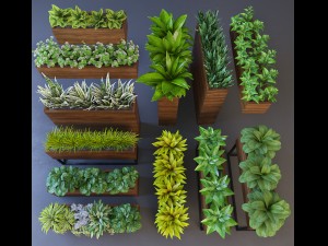 herb 3D मॉडल