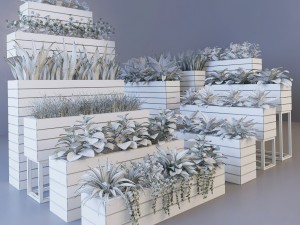 herb 3D मॉडल