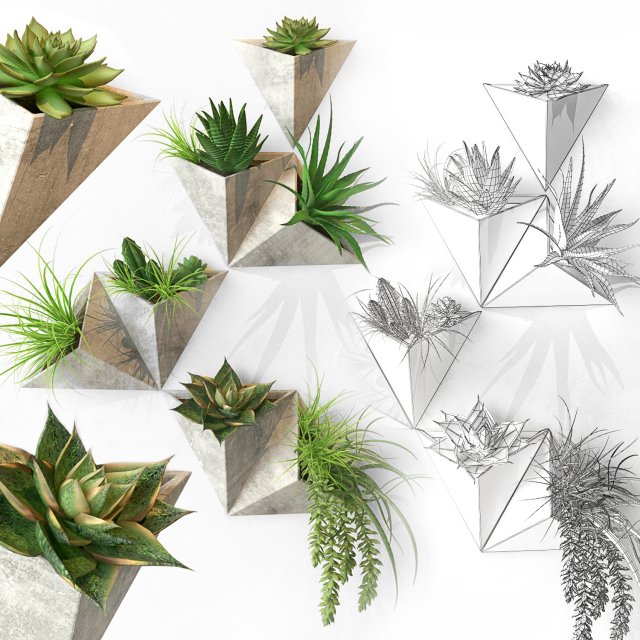 on the wall 3D Model .c4d .max .obj .3ds .fbx .stl .blend 