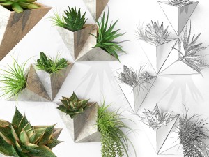 on the wall 3D 모델