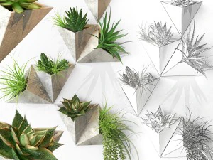 on the wall 3D Model