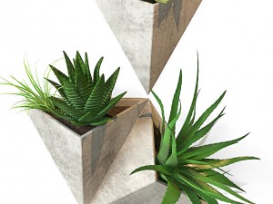 on the wall 3D Model