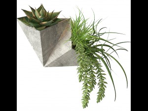 on the wall 3D Model