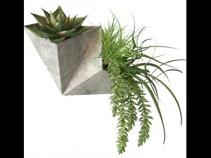 on the wall 3D Model