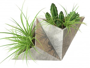on the wall 3D Model