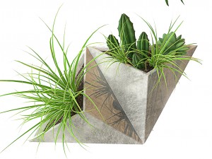 on the wall 3D Model