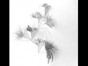 on the wall 3D Model