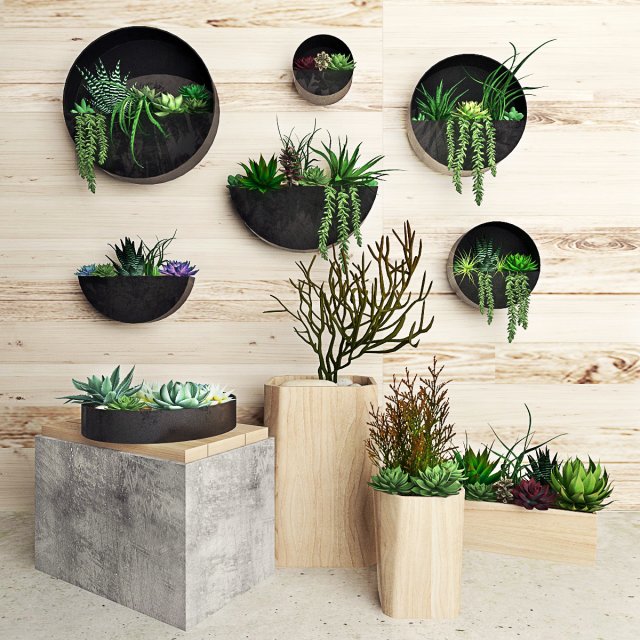 plant on the wall 111 3D 모델 .c4d .max .obj .3ds .fbx .stl .blend 