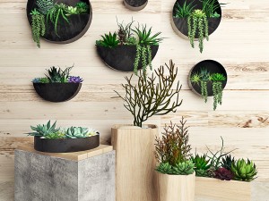 plant on the wall 111 3D 모델