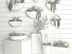 plant on the wall 111 3D Model