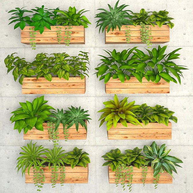 plants on the wall- Modello 3D .c4d .max .obj .3ds .fbx .stl .blend
