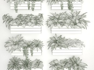 plants on the wall- Modello 3D