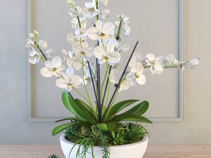 orchid 3D 모델