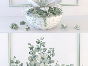 orchid 3D Model