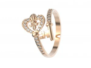 ring key 3D Model