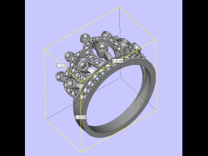 ring crown 3D Print Model