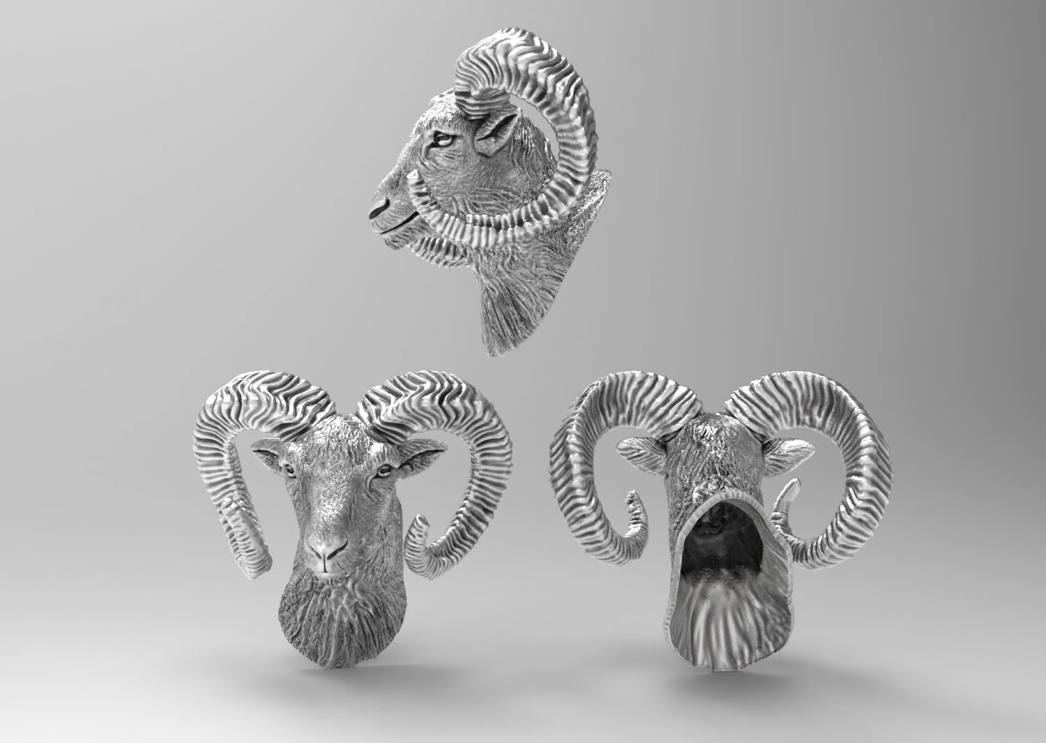 muflon ram sculpture for decor 3D Print Model .c4d .max .obj .3ds .fbx .stl .blend