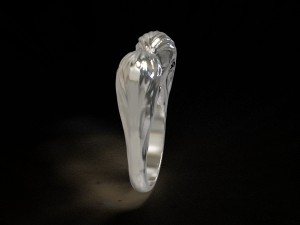 ring-faces 3D Baskı Modeli