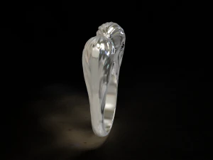 ring-faces 3D Print Model