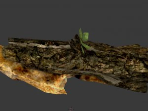 drift wood bone sword 3D Model
