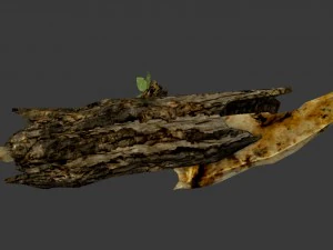 drift wood bone sword 3D Model