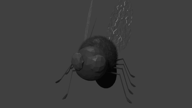 fly 3D Model .c4d .max .obj .3ds .fbx .stl .blend 