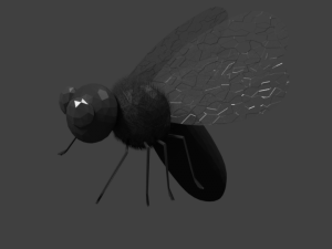 fly 3D Model
