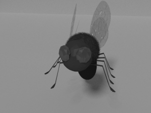 fly 3D 模型