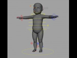 赤ちゃん 3Dモデル