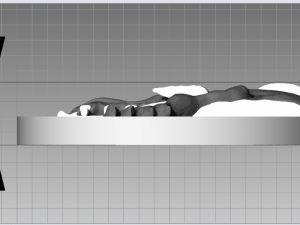 dragons roar 3D Model