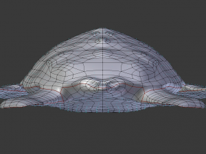 sea turtle 3D Model