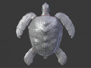 sea turtle 3D Model