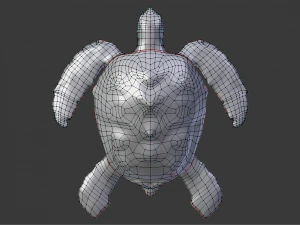 sea turtle 3D Model