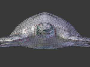 sea turtle 3D Model