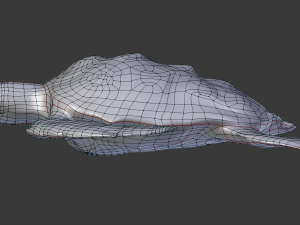 sea turtle 3D Model