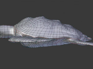 sea turtle 3D Model