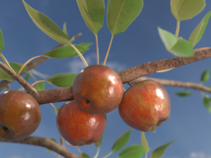 apple fruit stand Modèle 3D