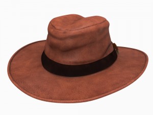cowboys hat 3D Model
