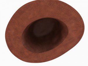 cowboys hat 3D Model