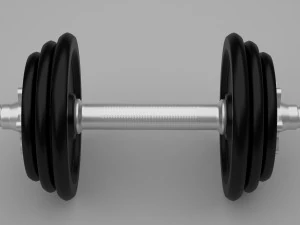 dumbbells 3D Model