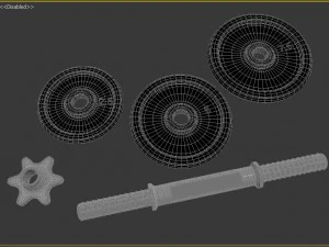 dumbbells 3D Model